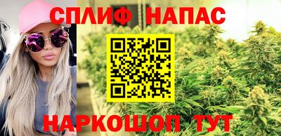 Альфа ПВП Будённовск