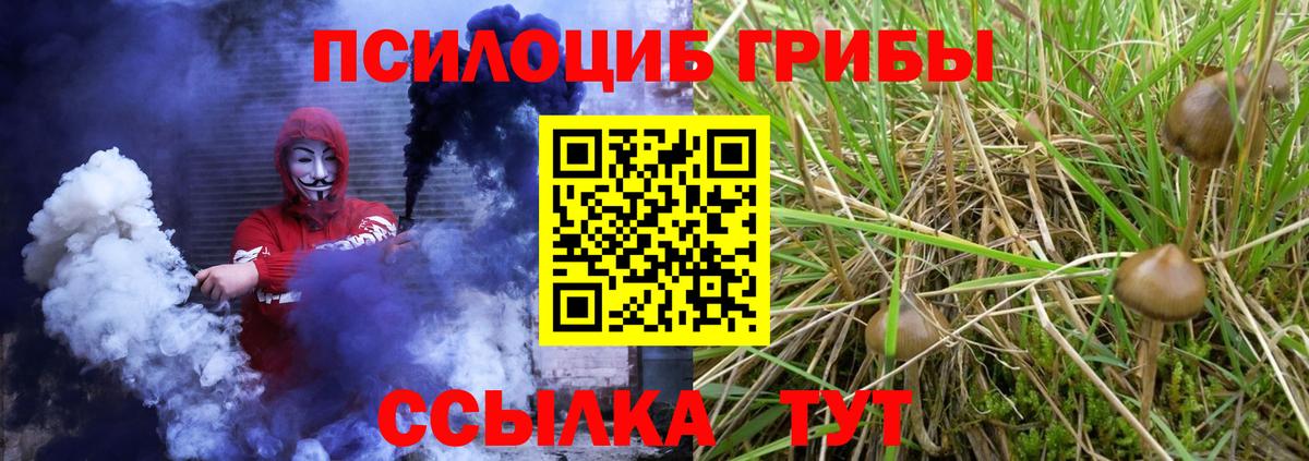 Менделеевск  Галлюциногенные грибы мухоморы  Вход с VPN 