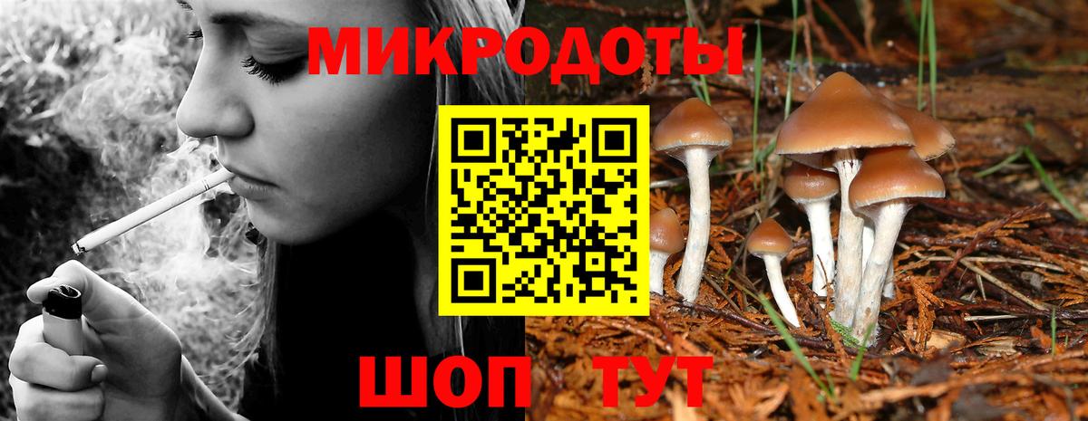 Псилоцибиновые грибы ЛСД Менделеевск